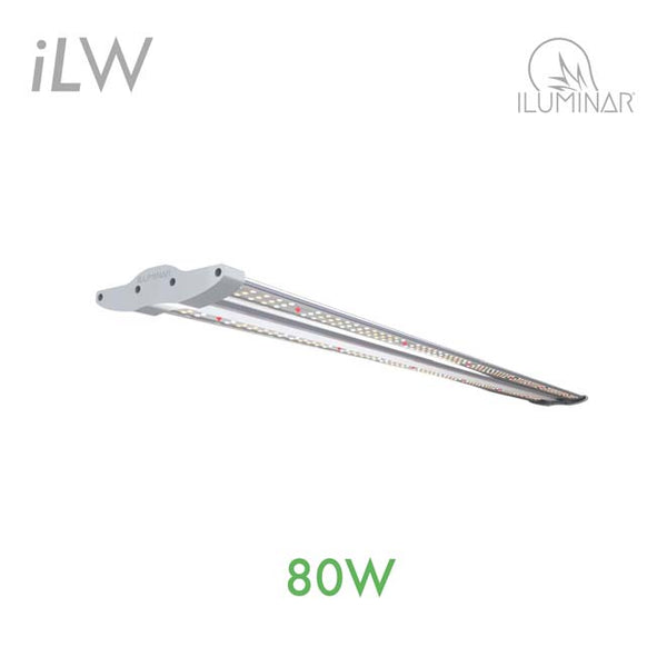 LED  Iluminar iLW Clone Light 80W