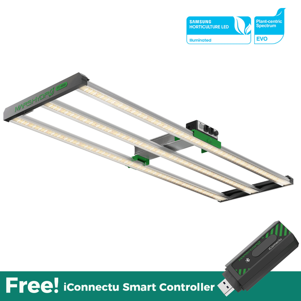 LED MH FC4000 320W Bottom View USB Free