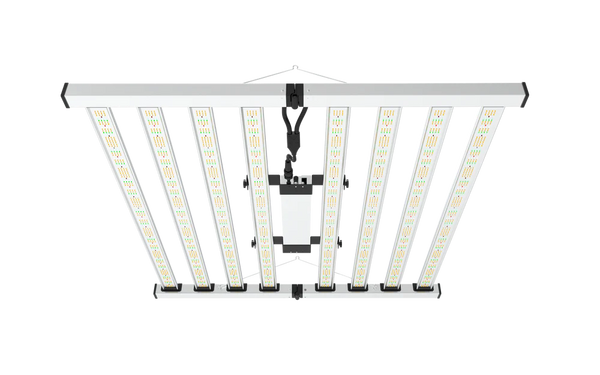 LED Mammoth Lighting 8bar Nova Series FS  Bottom View