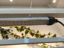 LED Mammoth Lighting Clone And Inter Canopy 50w SS Bottom Hanging View
