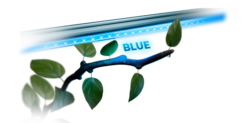 LED Mars Hydro Adlite Series Blue