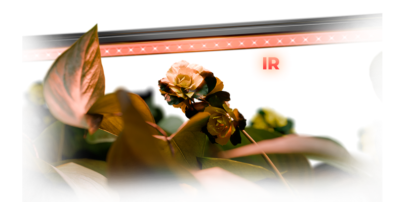 LED Mars Hydro Adlite Series IR