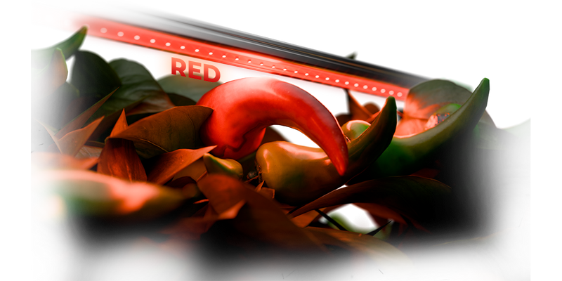 LED Mars Hydro Adlite Series Red