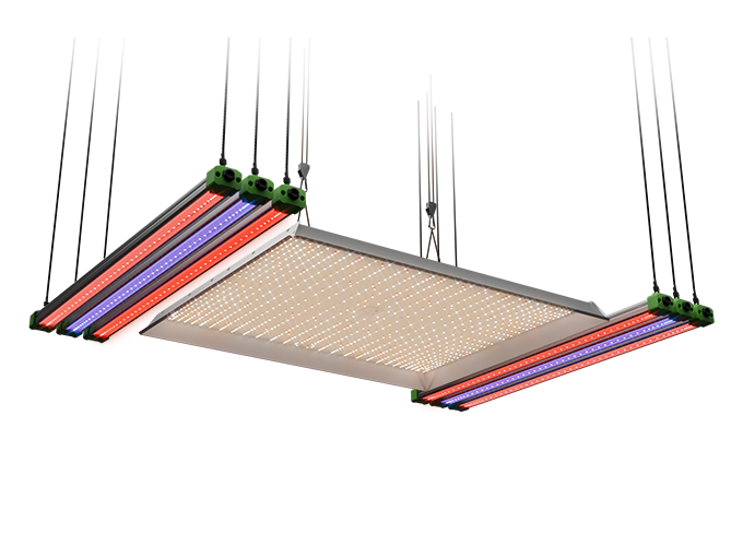 LED Mars Hydro Adlite Series Sample Hanging