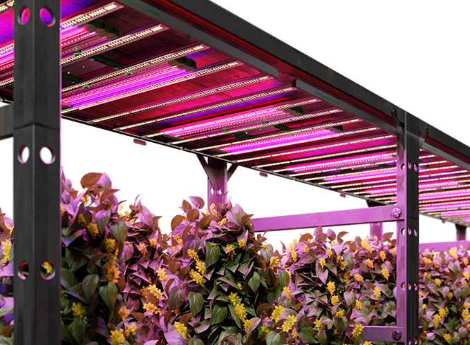 LED Mars Hydro Adlite Series Sample Image 2