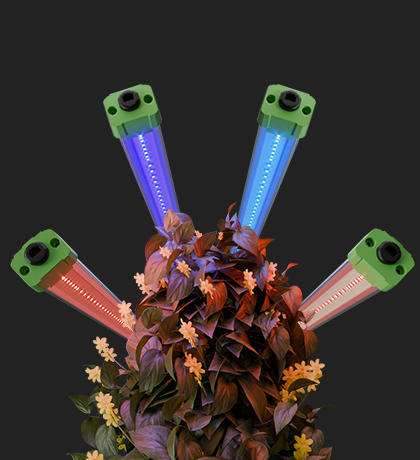 LED Mars Hydro Adlite Series Sample Image 4