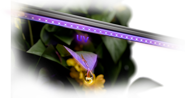 LED Mars Hydro Adlite Series UV
