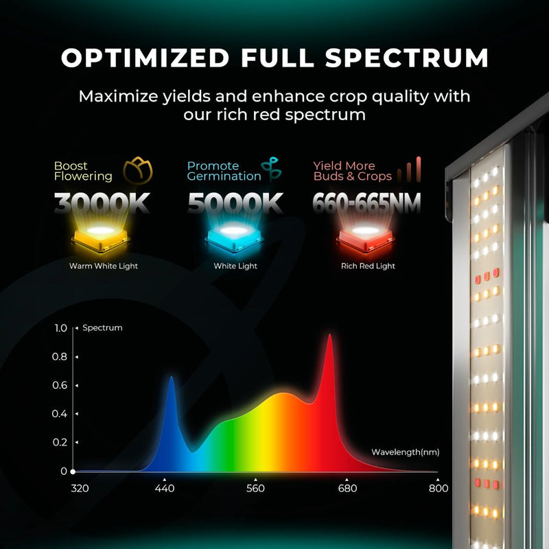 LED Mars Hydro FC1200 Samsung EVO CO2 Spectrum