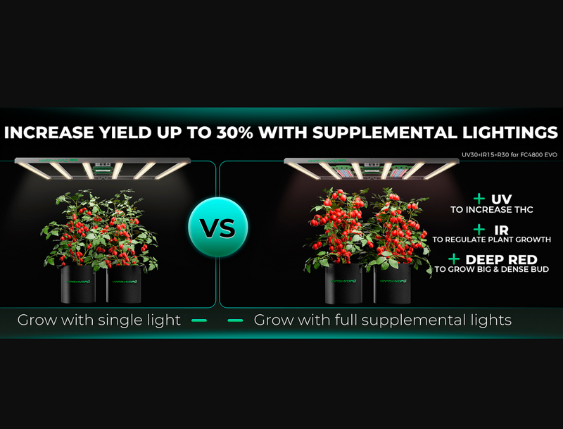 LED Mars Hydro FC4800 EVO 480W Supplemental  Lightning