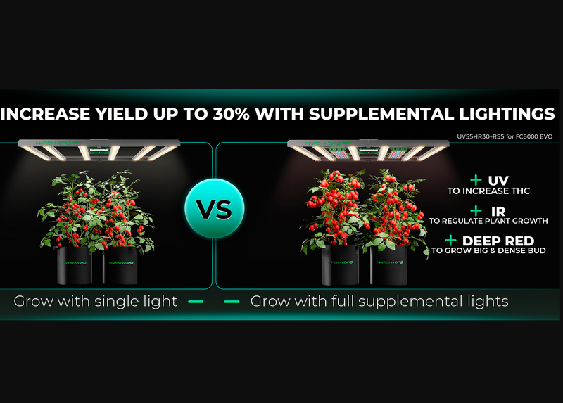 LED Mars Hydro FC8000 EVO 800W FS Supplemental Lightning