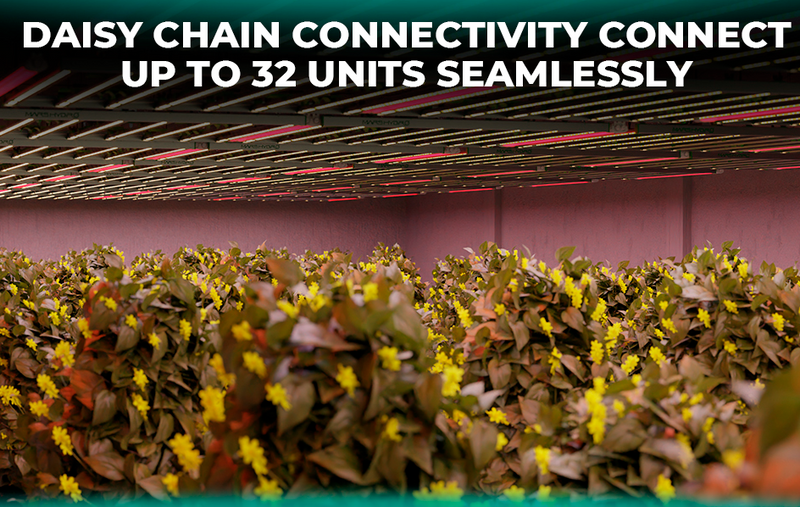 LED Mars Hyrdo Daisy Chain