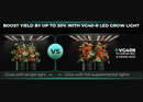 LED Mars Hyrdo VG40R 40W 2FT T5 Growth Comparison 2