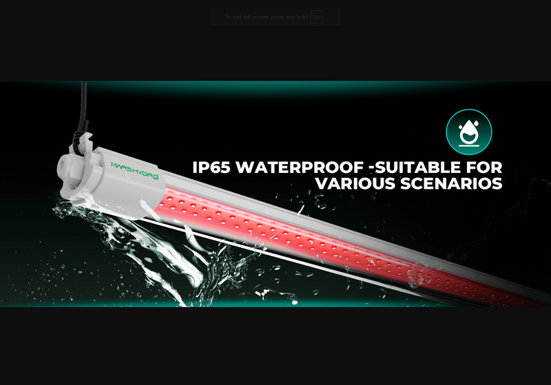 LED Mars Hyrdo VG40R 40W 2FT T5 Water Proof