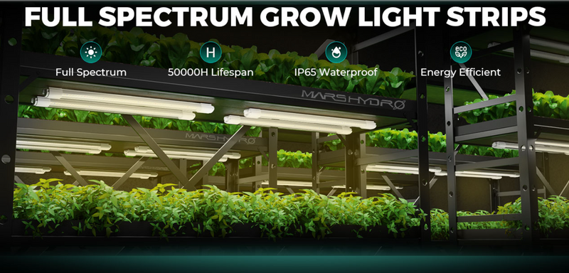 LED Mars Hyrdo VG40 40W 2FT T5 Sample Image 1