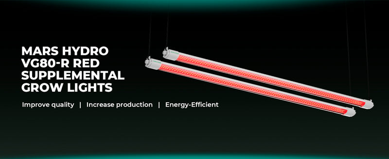 LED Mars Hyrdo VG80R T5 Hang View 2