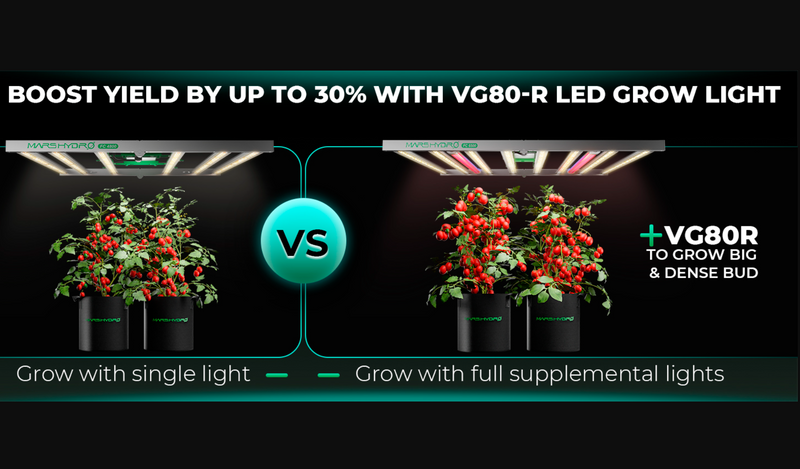 LED Mars Hyrdo VG80R T5 Plant Growth