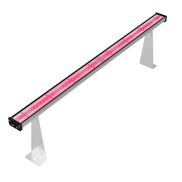 LED Medic Grow Hell Fire 120W FS Under Canopy