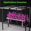 LED Medic Grow Hell Fire 120W FS Under Canopy Setup