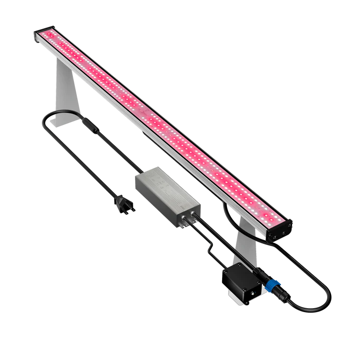 LED Medic Grow Hell Fire 120W FS Under Canopy Top View