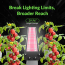 LED Medic Grow Hell Fire 120W FS Under Canopy Coverage