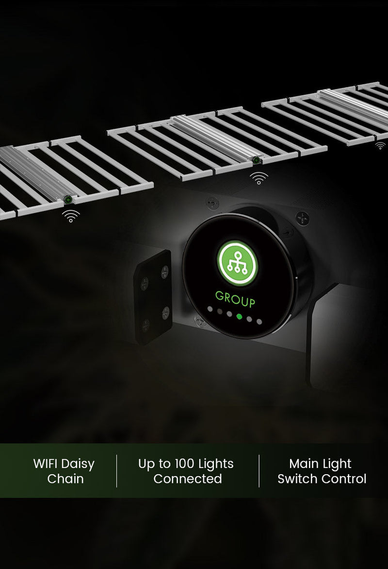 LED Medic Grow Neo 780W Daisy Chain 2