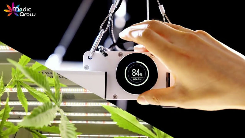 LED Medic Grow Neo 780W Dimming