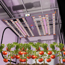 LED Medic Grow UV + FR 4ft Supplemental Bar Hanging Sample