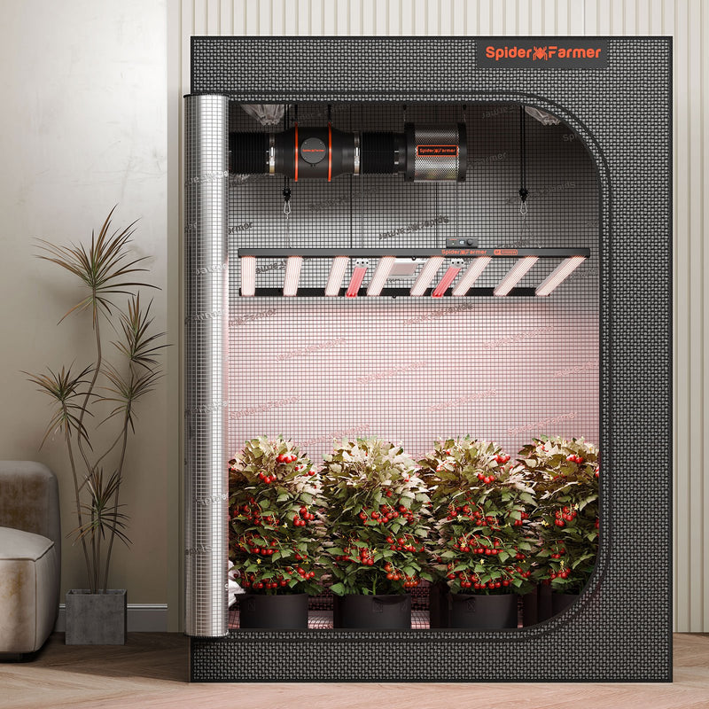 LED Spider Farmer GlowR Series Deep Red Spectrum Supplemental Sample Installation