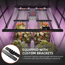 LED Spider Farmer UV30 & IR16 Bars Hanging Sample