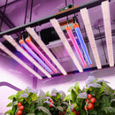 LED Spider Farmer UV30 & IR16 Bars Hanging View