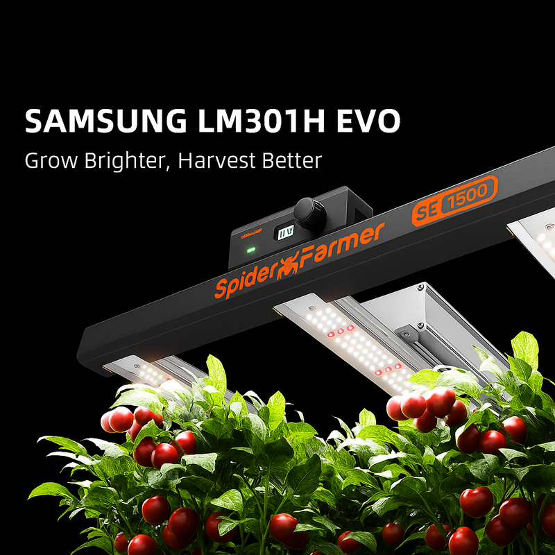 LED Spider Mars SE1500 150W Samsung LM301H