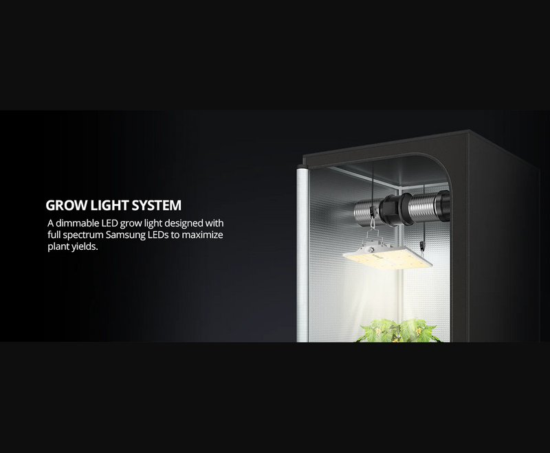 LED VS XS2500 250W Setup