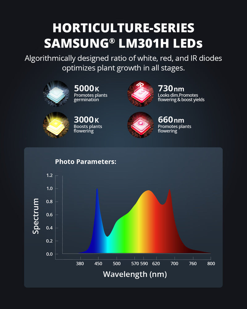 LED VS XS2500 250W Spectrum