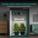 Mars Hydro TS3000 Four By Four Tent Application