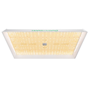 Mars Hydro TSW 2000 Hang View