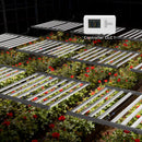 Medic Grow 720w MEDIC BOX 07 Daisy Chain