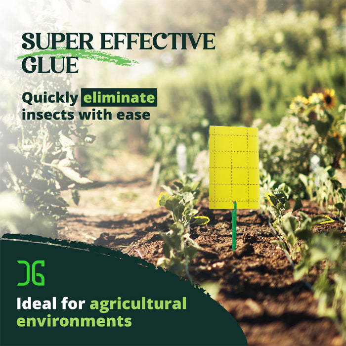 Grow Essentials Pest Control Catchmaster Double-Sided Sticky Card Glue Front