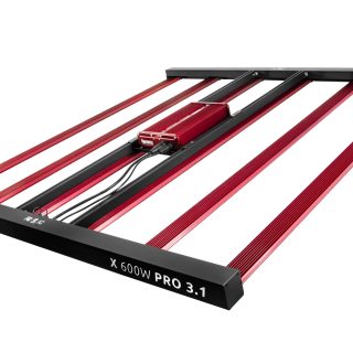 Photontek X 600W PRO 3.1 Top View