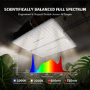 Spider Farmer 3x3 Complete Grow Tent Ventilation System