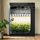 Spider Farmer 5x5 Grow Tent Lifestyle Living Room Setup