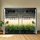 Spider Farmer 8x4 Grow Tent Indoor Room Setup With Grow Lights and Plants