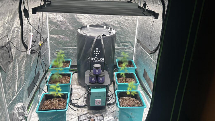 Specials & Sales | GrowAce.com