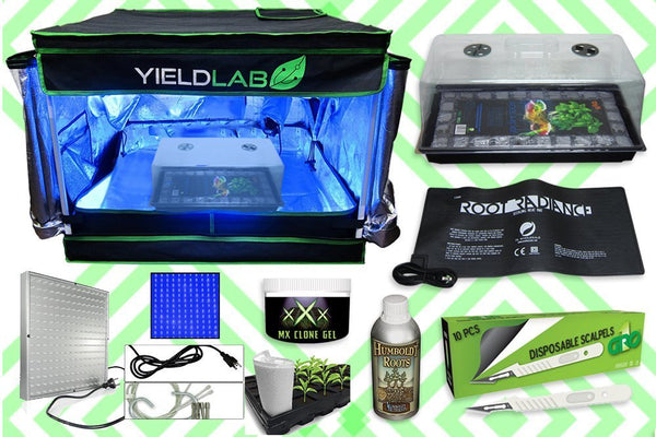 Cloning Kits for Plants | Plant Cloning Supplies