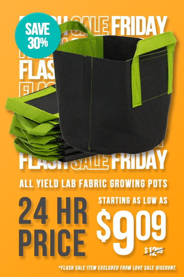 Yield Lab Fabric 10 Gallon Growing Pots- 5 Pack