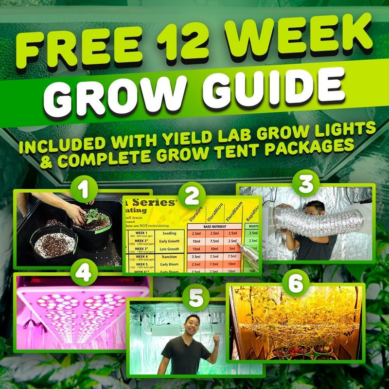 Yield Lab Professional Series 120/220v 630w Dual Bulb CMH Complete Grow Light Kit grow guide