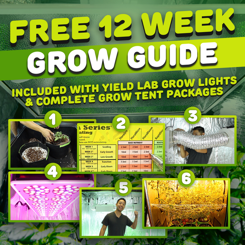 Yield Lab 8x4 Ft S810 Full Spectrum LED Soil Indoor Greenhouse Complete Grow Tent kit