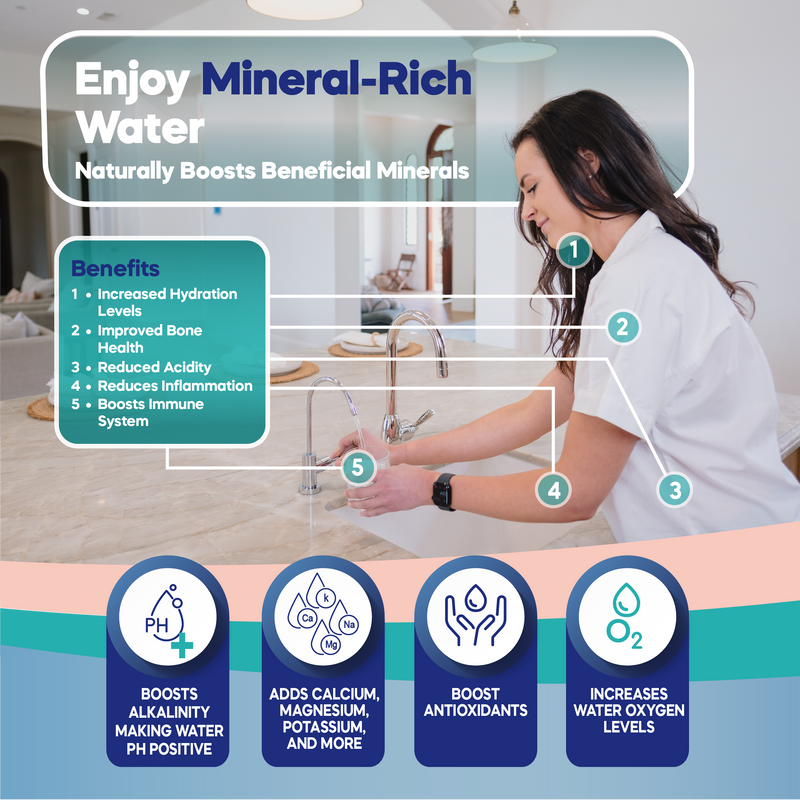 Reverse Osmosis System NU Aqua Platinum Series Stage 6 Alkaline Pump Filter