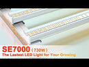 Spider Farmer 730W SE7000 LED Grow Light