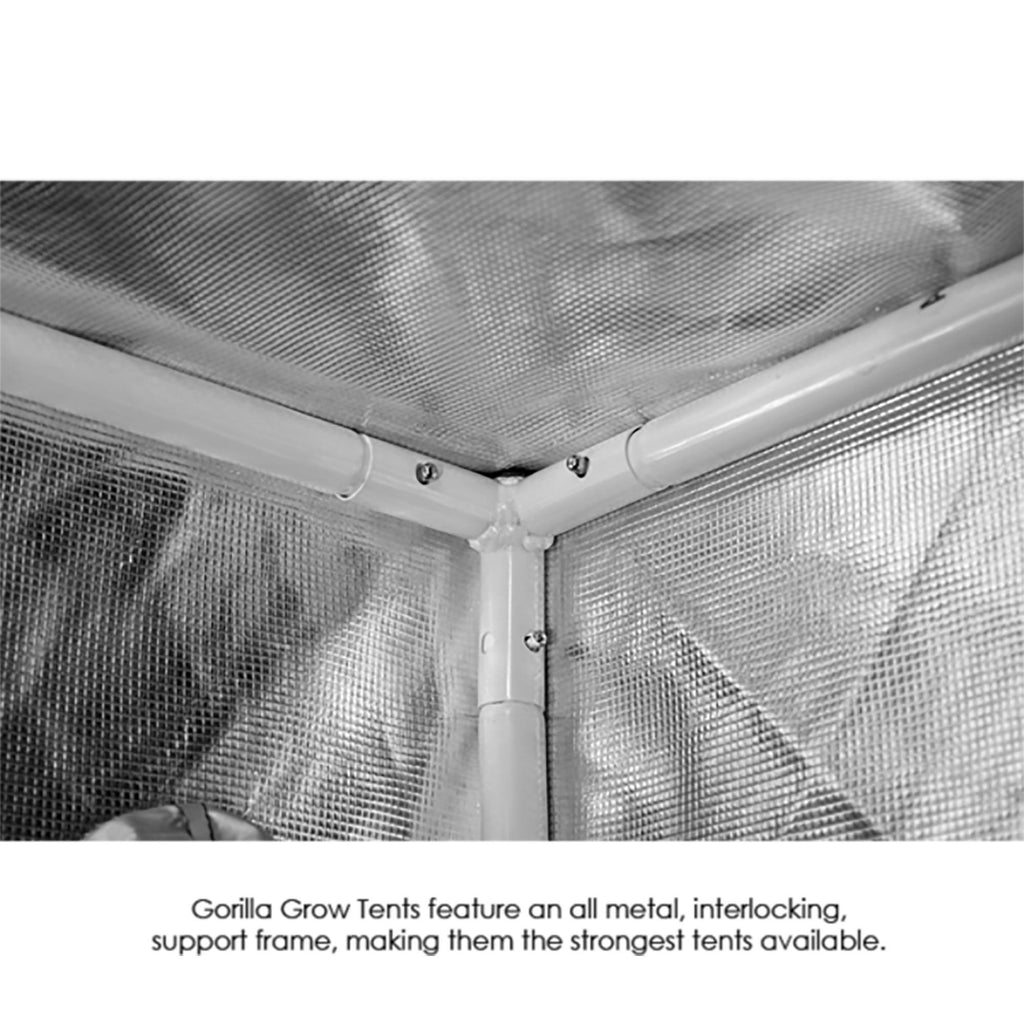 gorilla indoor grow tent 10'x10' Gorilla Grow Tent