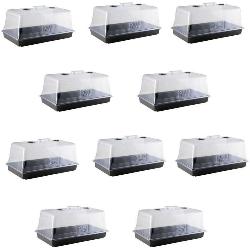 Propagation Seed and Clone Starter Tray and Dome - 10 Pack front of all trays and domes